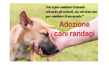 AFFIDO/ADOZIONE CANI RANDAGI