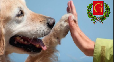 Misure a tutela degli animali d’affezione e prevenzione del randagismo
